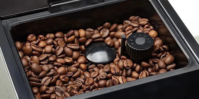 Studio Casa Fully Automatic Bean to Cup Espresso Machine + 1KG Coffee Beans - Buongiorno Caffe' & More